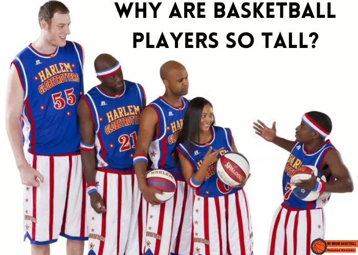 explain Why are Basketball Players so Tall